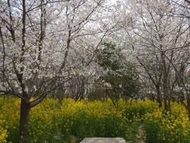 k4M8fxh2zLmALc_cZlfasVa2xrw7w-YDZqlojX3bBZ2EUZMQpV0tJvxx-xzYNo2t