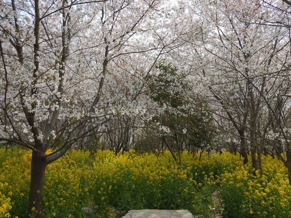 k4M8fxh2zLmALc_cZlfasVa2xrw7w-YDZqlojX3bBZ2EUZMQpV0tJvxx-xzYNo2t