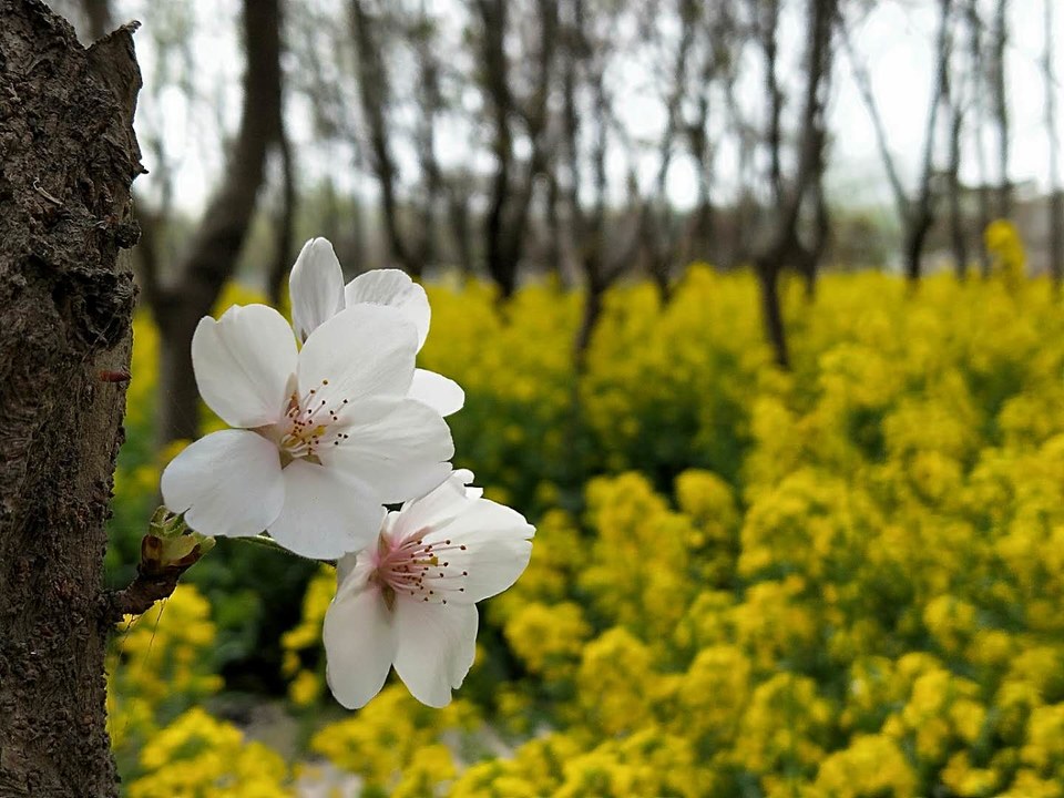 hJfyqqo2JpFqsesOoZhFAZ0z1cRa5KgnVpkq164Ma5XnPZExkj_aUsOQCNTsTcAu