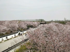 D6cynWZTOb2_Q2XCFVMVIIdDDmE6pMsm6JCTJV7Y08k-wj0LK-YqDTl9FCe4aNVy