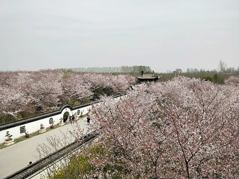 D6cynWZTOb2_Q2XCFVMVIIdDDmE6pMsm6JCTJV7Y08k-wj0LK-YqDTl9FCe4aNVy