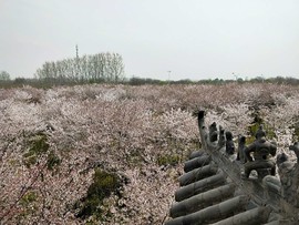 eSzT3JwVQyCKbGqAUagl661i_-fgCd383sViL0yEf_uVNARXLTosRFQwSh1KVS2w