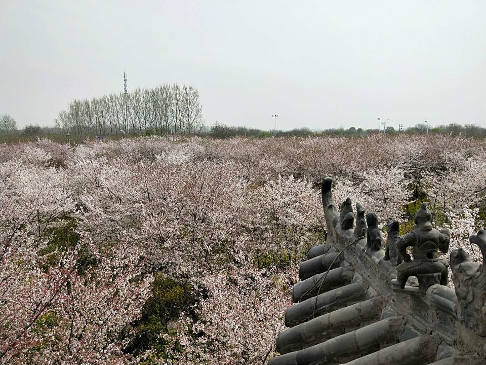 eSzT3JwVQyCKbGqAUagl661i_-fgCd383sViL0yEf_uVNARXLTosRFQwSh1KVS2w