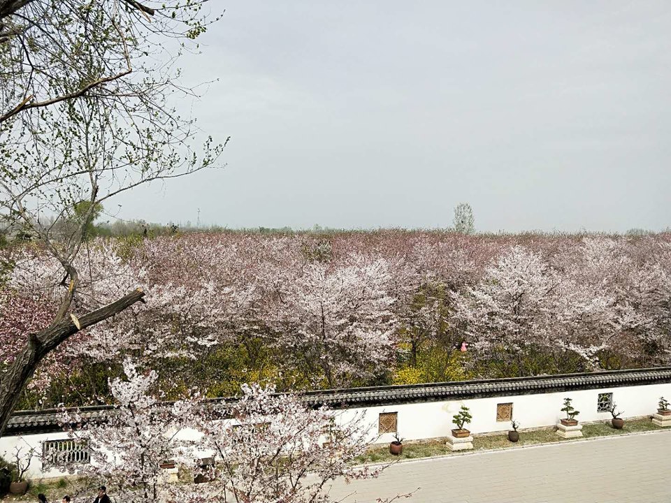 1TU_xHY6M7uBmrWip72YjjcN3k2bG6BT5EuZLyye5FXK1uIRT8MBiyMQYWlWZfI8