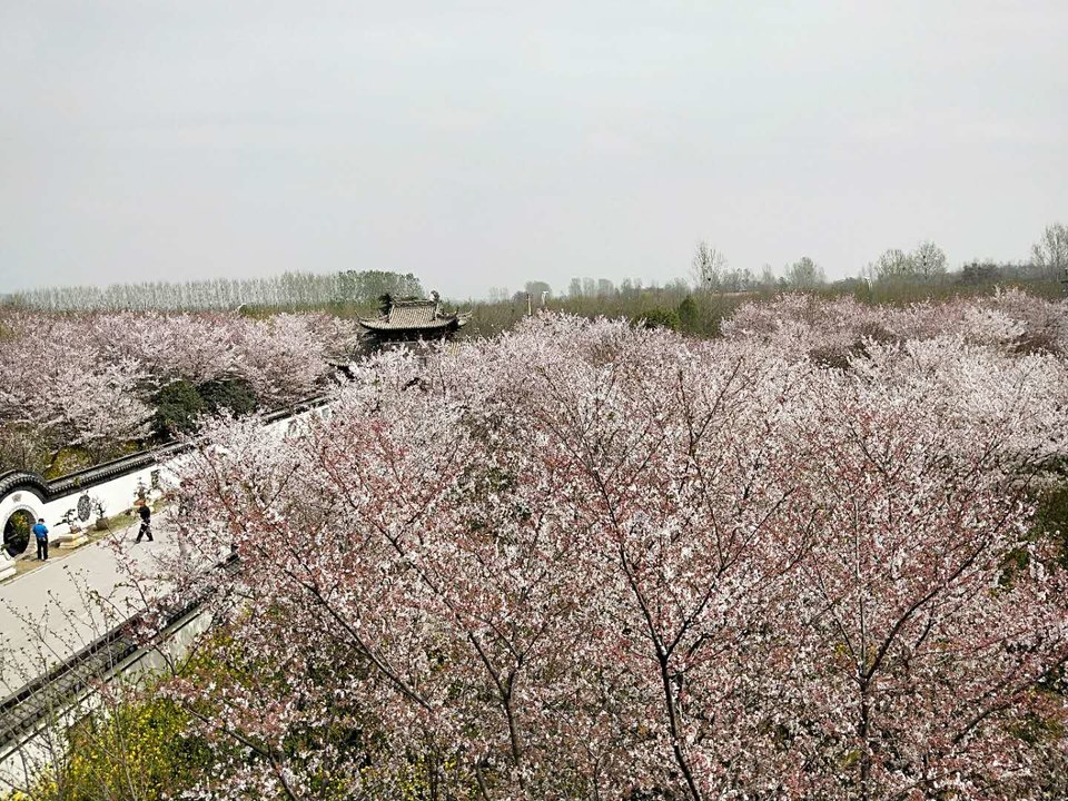 Awg7pKROOJxyttoh5l8wSgcWB3_cK5cvENmCGjzr0UYua4z62SA8psN4rOMTgI5V