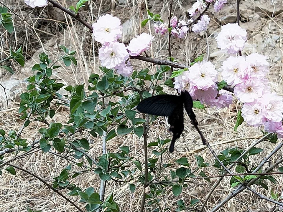 zUu9uRC7z-naf8c-fuSVm5FI2msIhdtTktCxkdfffpxPJNtbW5ifbptSDHucayFm