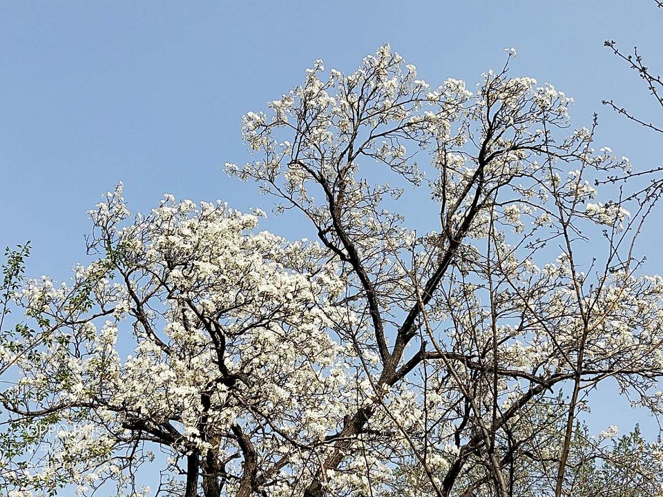 FjHwQ11xKY_P-TDuudtCWaWnGp3-XDLjGh7NduvYuGnjMOTzNBQ2V4JbiQRX1vJa