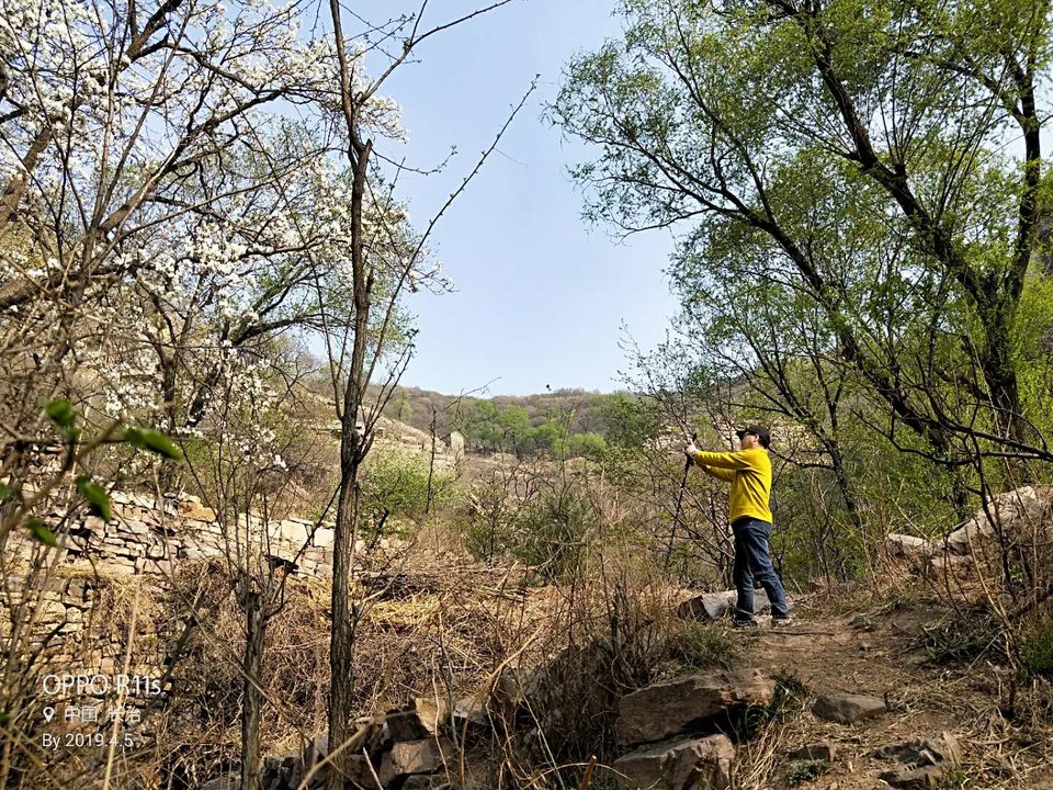 47F62pSPUgjvuukOdE8Fp1C28WKRoH-dbo37QTRqeF2pOY26wCZZw8ZefpH3B0ma