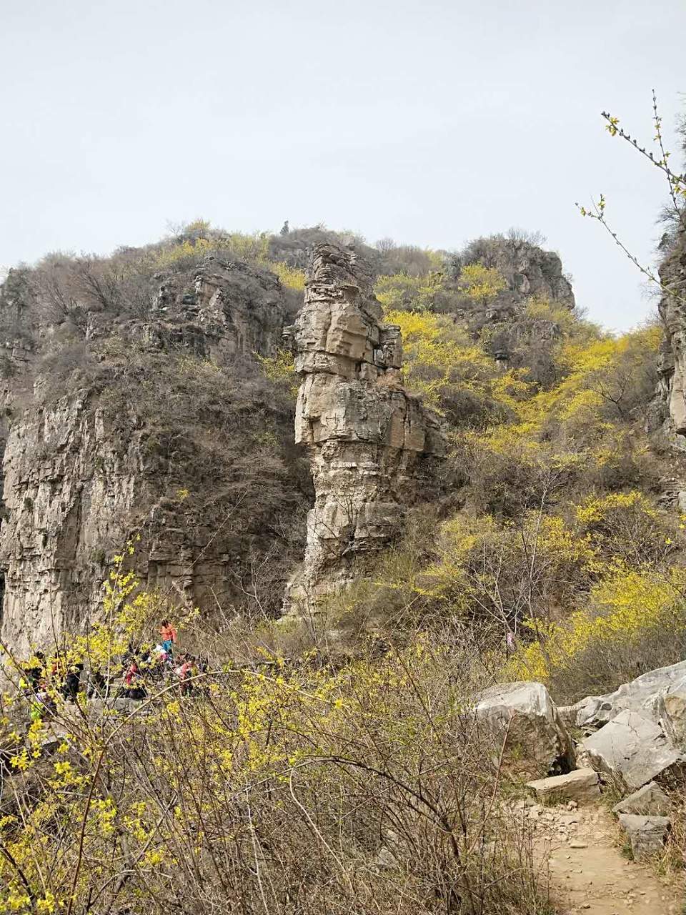 C-RD2Fim8Mi6jvbc6D53bxfvVznib6Jgu8gt3vdgEpgLY1W9DpuccEs3Ml7REyYs