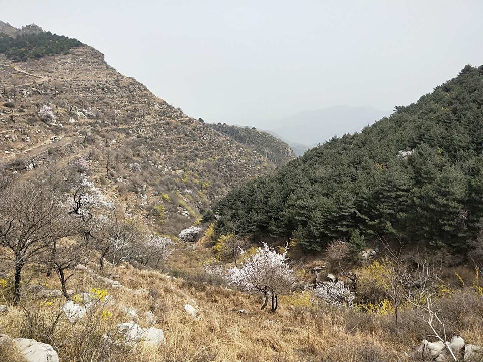 8DdF6Pso93agbkCDjBmVMDLpBMNSZjuclHli3xyQxA9KMHOkie2Rg3aBoJkQDuD_