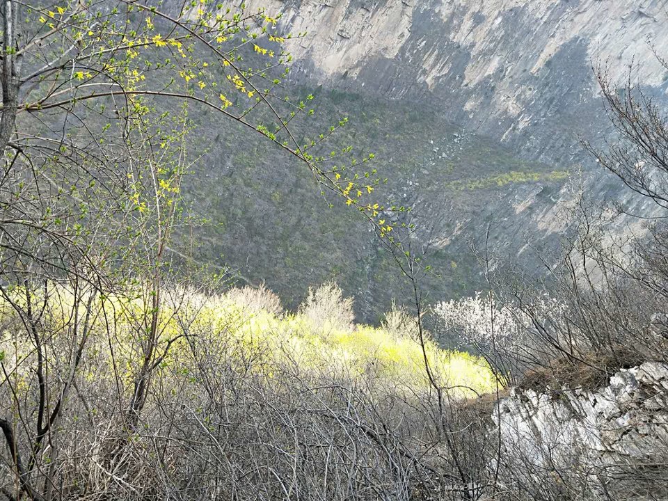 Ihd7j2kHNh0JDawbojMZjtf0Rm62Bt2Dg8J-hwweVLSOSst8P5ims55qlFxB5VCm