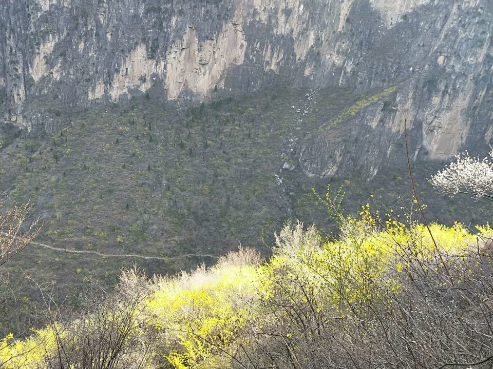 R-JILgLnqemO5fsfqD9RD6K5e2uxp2VtMu9JDfZeO-SyrpbDWmwf7gGh95NpQfwx