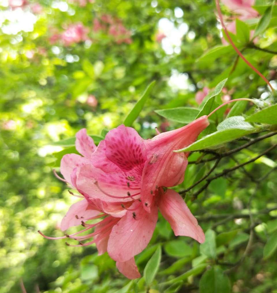 43Gumpfs0wjxCWh8vhx-n-L2lmyncmliKprnS37jQnQ-cKBhE_UZ6q_wZHw6MtiE