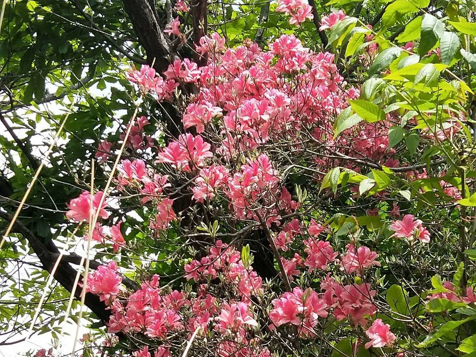 kczhuP69tH76qGVkyfzzjTIWADwRDSviNA5CjuG7mevGfBugtzgng6urNuYlOvdc