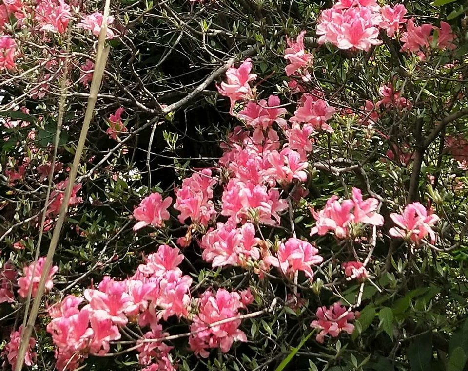 7JheXTKLzoAEXeVdXfhRXFghS75NqNb24M0iSxJd4VOuNN-TAQYk6F-WeRU56tLr