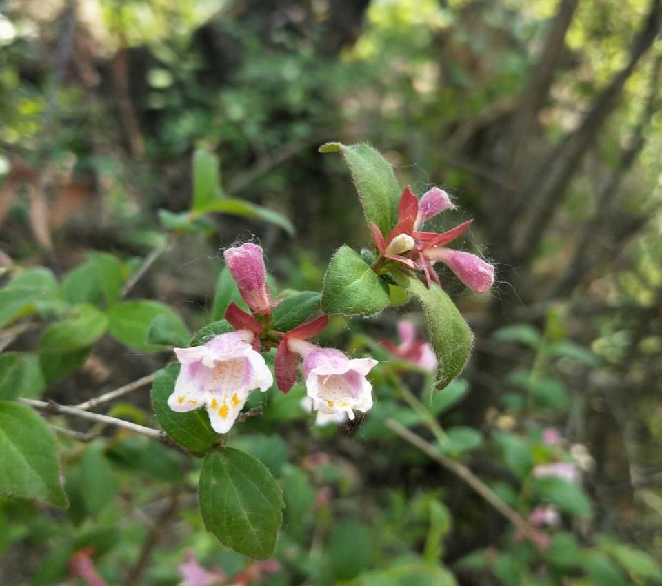 -G3_rlQz7w23PkHc4DCGwI2EA7JQ1gEKxMHf9znD7T8gL6p3vAoIEKt48wDaKb67