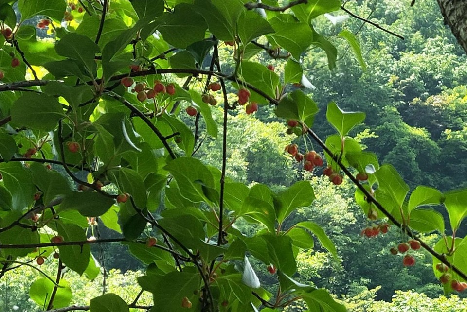 F2olMvOuJiRbY26XWfV2dPrdrV-1_HbJ6Ezwos1rm6AzgDU_70N-_V7UW23OqvpH