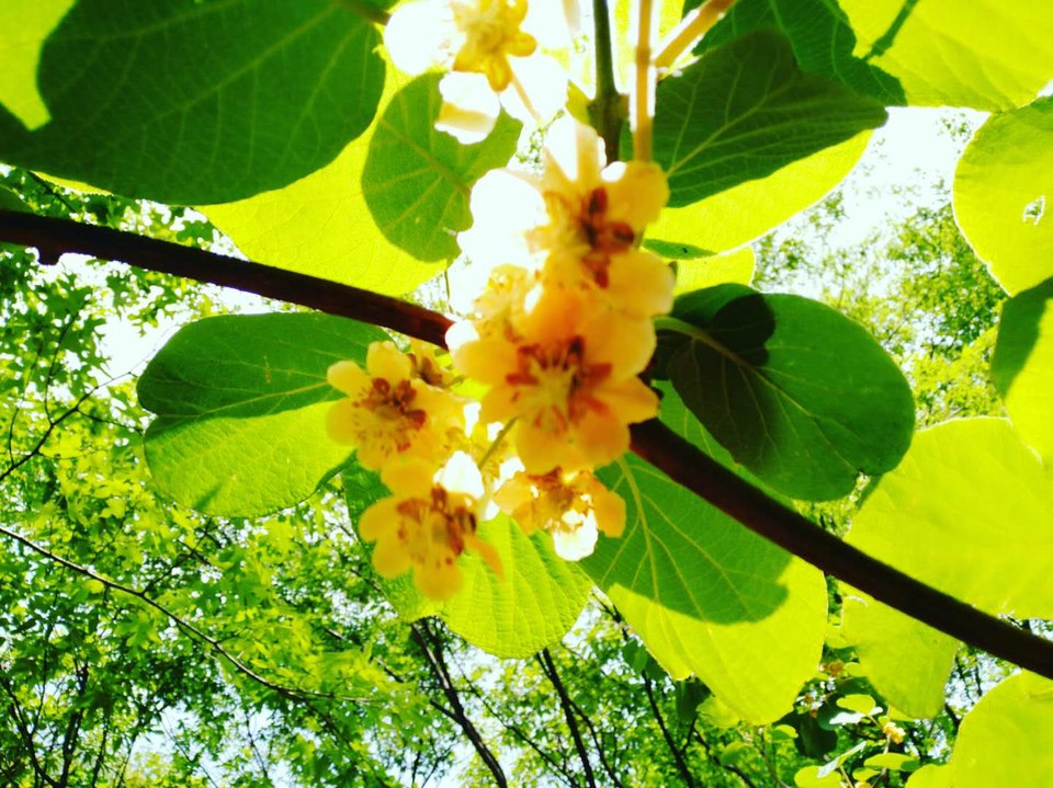 Ww982YK50ZSG7ZbyKk671CUCVmNR7diM8Fo_Xr2S_Xr6JjC7SbHAh3rkl8l3Ed6i