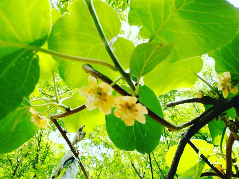 RAvvB9wEj2hOxjv1x-nt3uBciY7QAtskFm8Y0dbaFOnuVXJ0hkuau6vbBd7HNeud