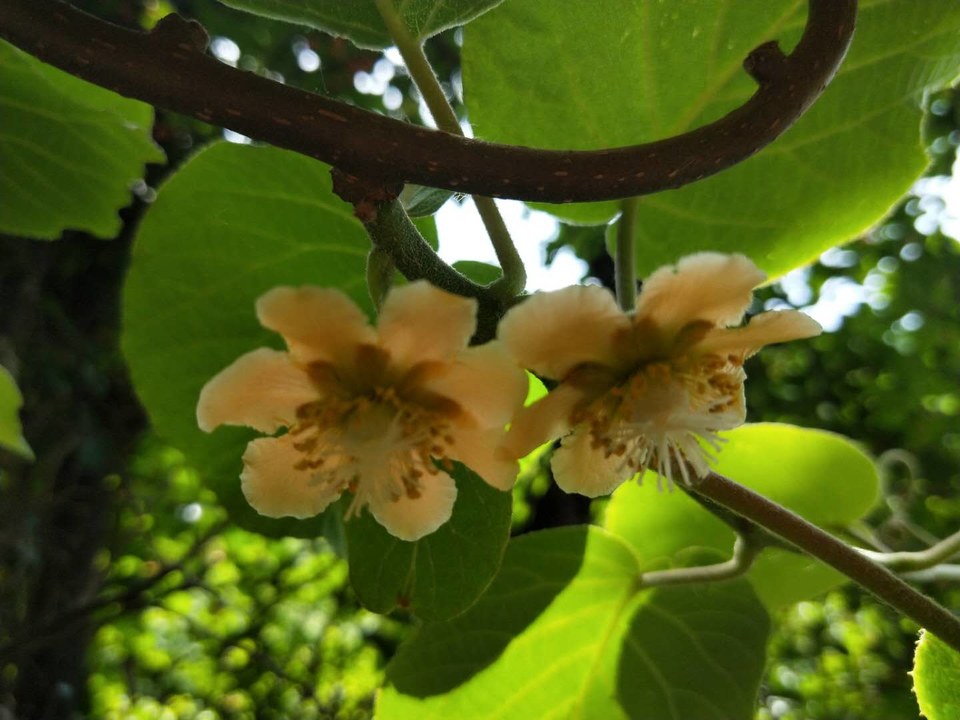 fwOi9QJHZTgm5jwLZvU3IFSbfwCVAjLTeUcviq5NIrWt3bM-XrCIAeFOIk7GaqVr