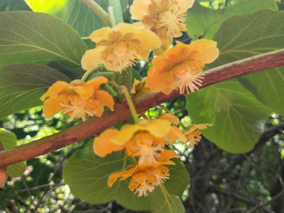 oylDI3qUXLel7Ht1ootUDjOp9eEvNQy50elbK5NjurNjUYeZ-b3Dnb_nsjsgu-Ik