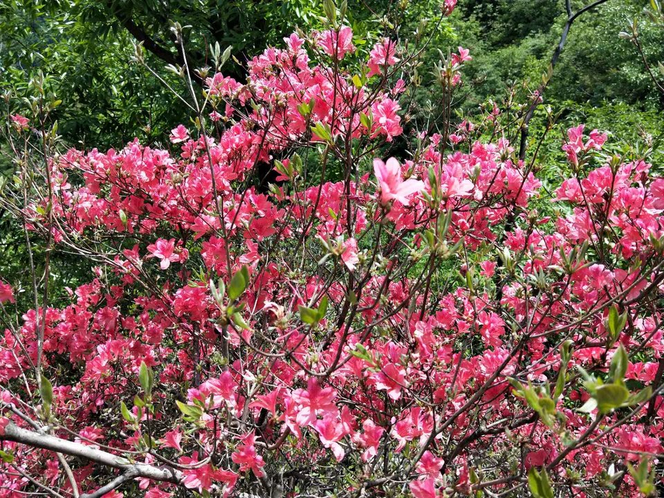 EdllxX0Tldek1erVkJeqk_RbFehVdDWuMz3ElVYopRhtAlPTRf1DIehmg2fQAZDv