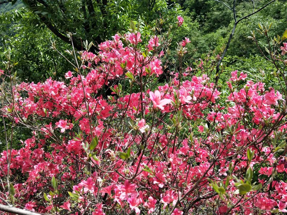 ciL1HWwJMDqWOX3KOi8P-oZyDd3R4ViSjCYjnGoVmFPZgPGZul9ZCk9LtFJNfOKF