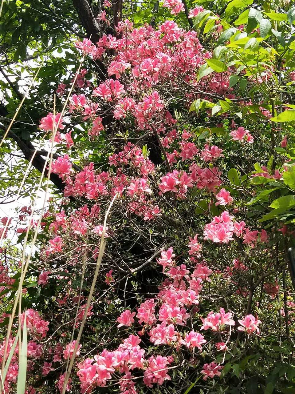 bN6Y_dJl1CJ8yhvCKVrZsQpBWgfMj7R9LY8Xcbg5QuL2k74VUk1DYW1QSotB3qlt