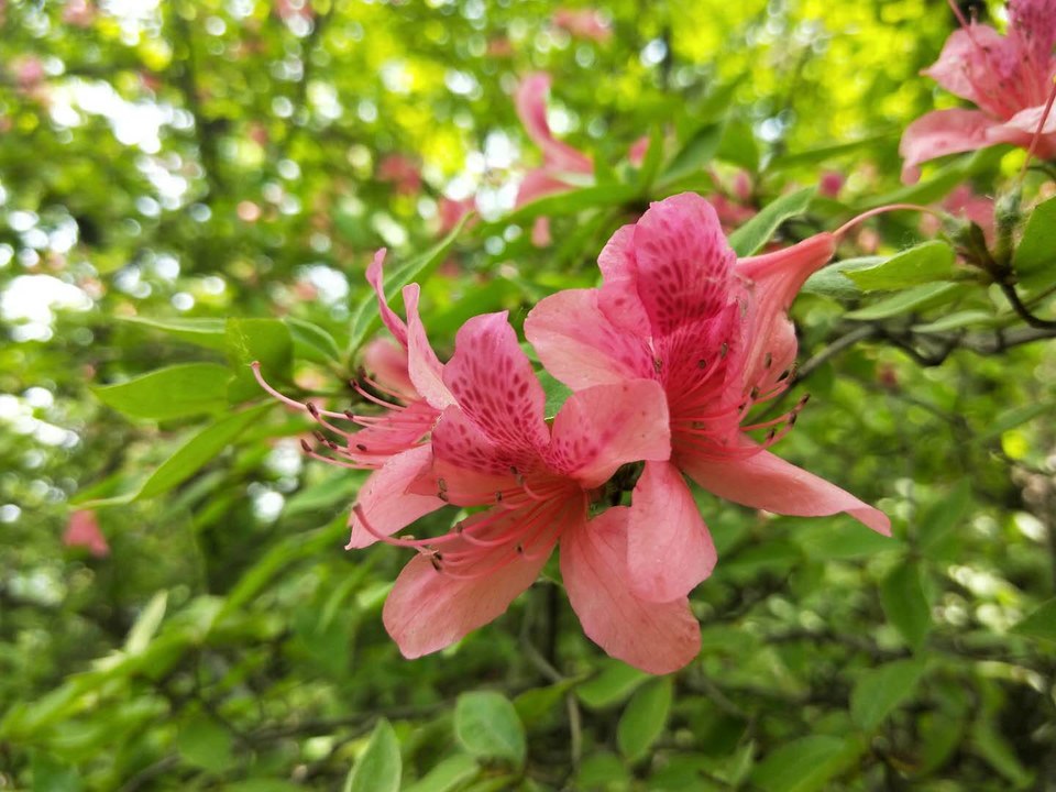 g3RseThIpWRnp41jRO_YptWTYlFfwS4KqEBBj1pohugWll4oyQw3eQF-Yx-7U5K4