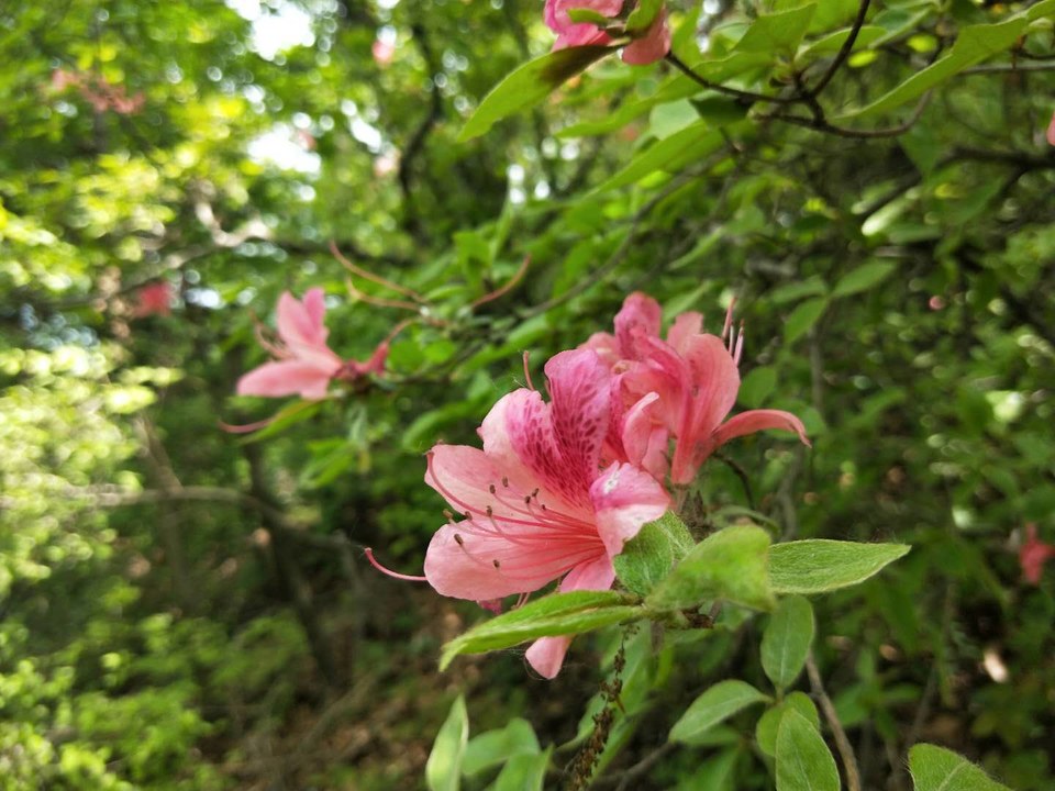 oHc3FduK62PYG8w7iyO2B2ovXbKfECmJDVtV3w4Yzth14njJyRhgBCFxiyQmU14-