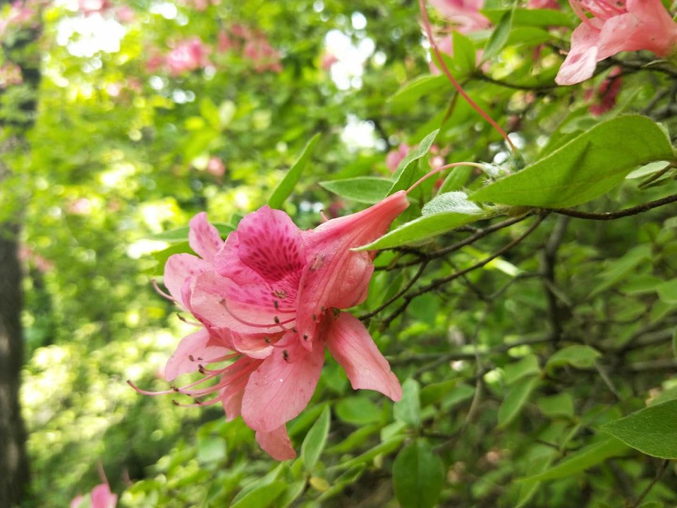 StJHXW1N1nJzwq3RDPl1coYvvwC09nNZ_UzDJ8GDGP9wkS-Cor-_Wn6p1aP7r5qk