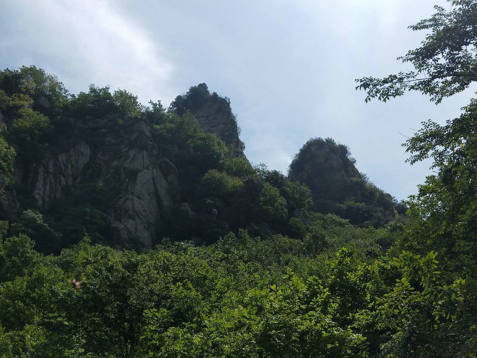 mjupMZRQyXhk5vlkblXAIkLSLqNNWtcYpUu6xHMwgnL5fI5d8ZGj1F09cGCsdSQj