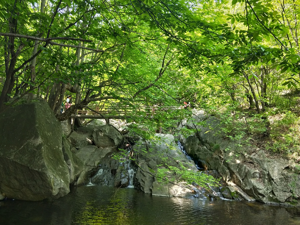 _hszIDZSZPzNefiP9uPpZHdaWcMP3aiOq-XnqSTDluZS2wlXcTZNAjtYwSPSM9mP