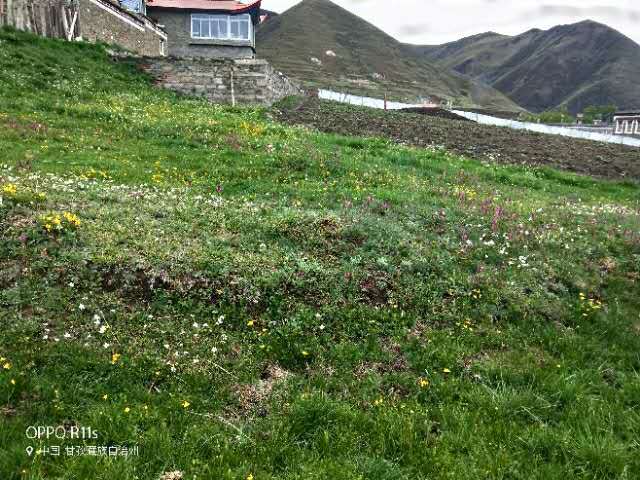 jzMB8o6tMIcZRm0lcONbPvNIVPv4OkPoIYPGeDLL09SORxY21Ka83g89w44g6o6B