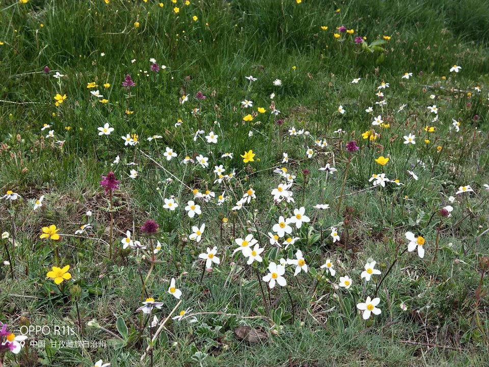 F-cmppHQH6yKY00N0k56qTqie_lV753XgbDOY3Rb_JXFjreyRjLhP_6apT-7wqPT