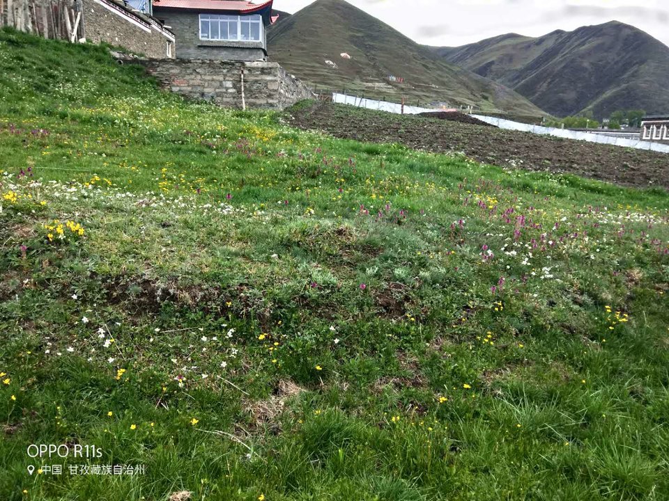 dTwb0u6ex2soQhG2WjcczaC_5oNVAqWBEovk3OWs5xfxNaD51VTGnM3ryWnS6hdx