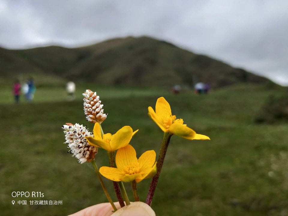 lNw8v7GAYVhdPByDnuZnxqJZST5NOJdtzjaam1IAGK-VxrzivDWV8sfGuIykmrt-