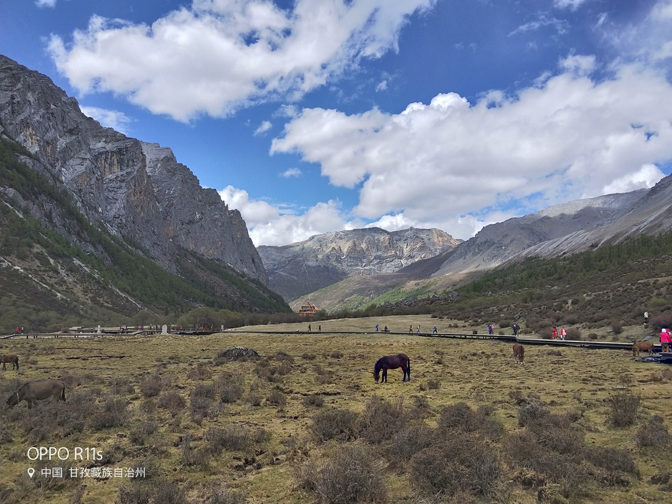 eafLcG3Qxc1DwYpYVnBDnpQS9DF5Ohh5tZ8scF-4rsyYauoRZYflFXAhv96PhUfc