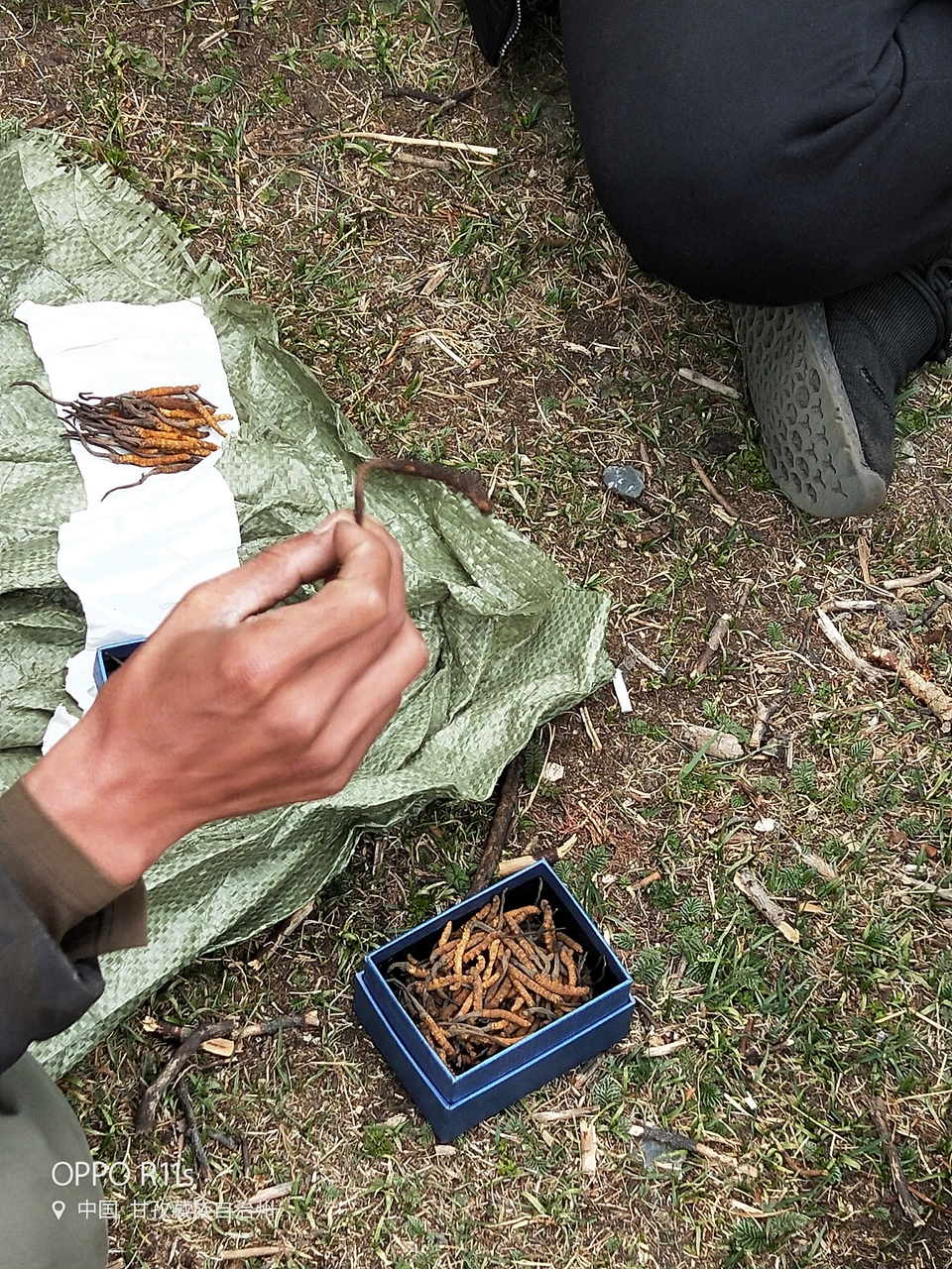 oiokKuPJxtCcAt1nS1NUyYFrZdKWE15_8dm17dGBQROiYIGb8l0qX8MGeNWRS52z