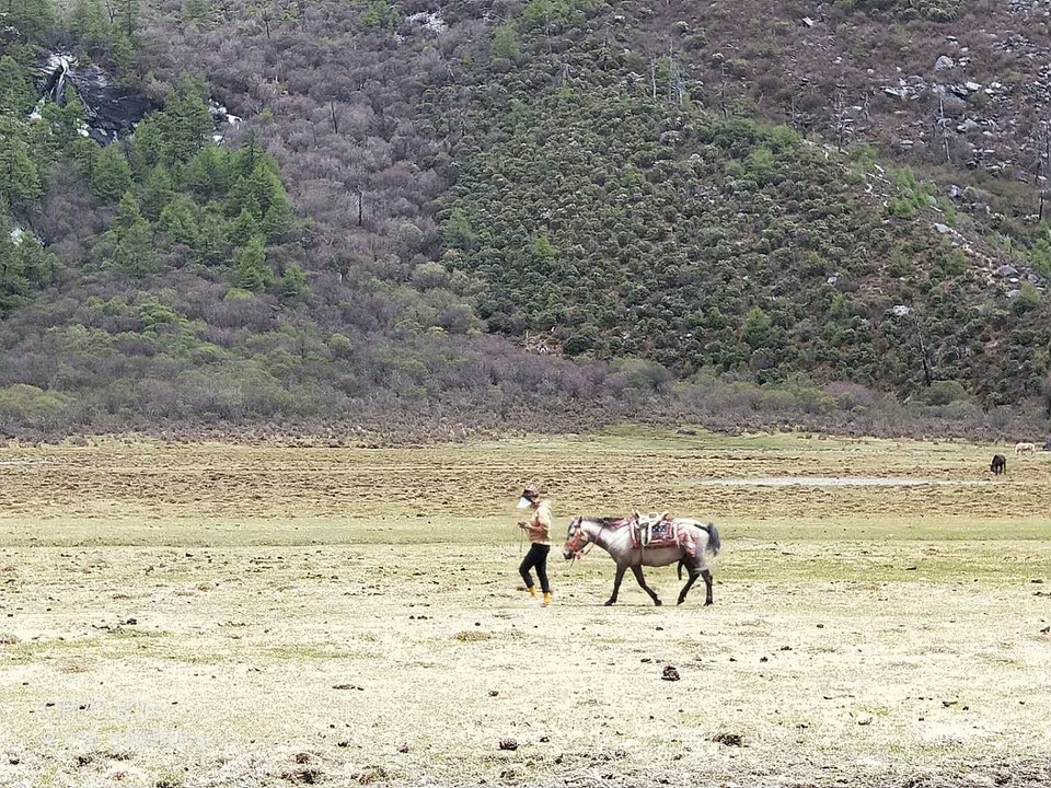 kfgPF2-DoG_alOeeZmb86Dt7H6Mv7guSnfiV8O3AyqPiNlNJnHTQmP48Vc5Iesvx