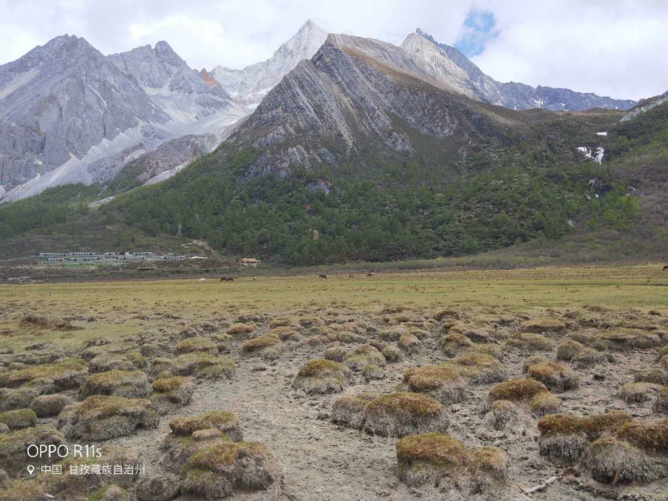 Cxy9EfIzix7G268Cu_a5F7qEP8iWRnO48ZYgRcqlr6PeGhD_gYf6RO3tjfpH0Dd-