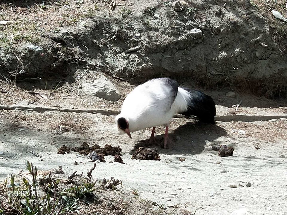 du2eA4isw3bP8XpZ6ZRiSg8oUnt6hwr3W0OA1mPxZWpICFjpjICfWv1bo8bd7RQ5