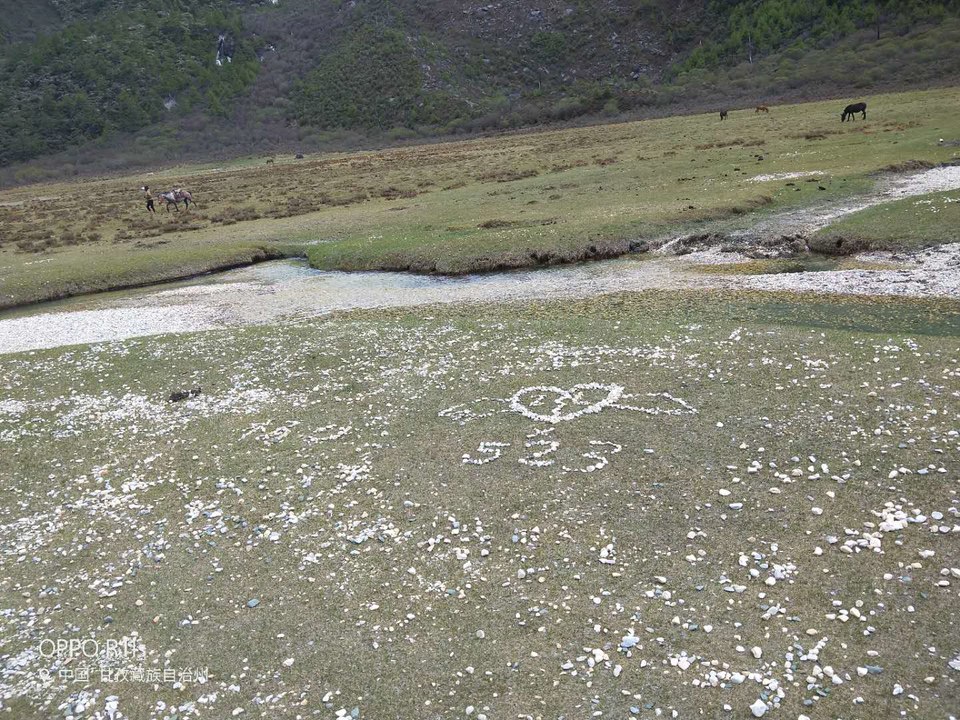 gWZtvrNcAuoo-oa1IKz1v5nszGlIYexB7_M1BrIc9G8mY7TcxCQRl3zKkDqzbash