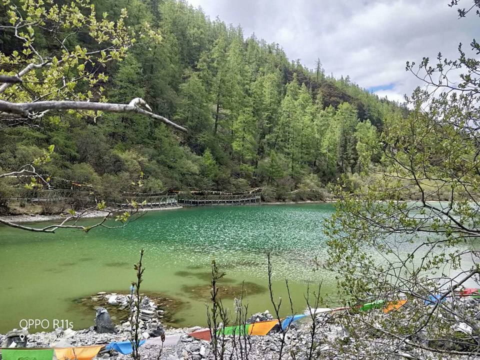 81iKKMXD0HmN3qW8NzPFTYKH4j6qAAulEJ9eKlmke6ca51vTFDTrE4z1JQh8cI01