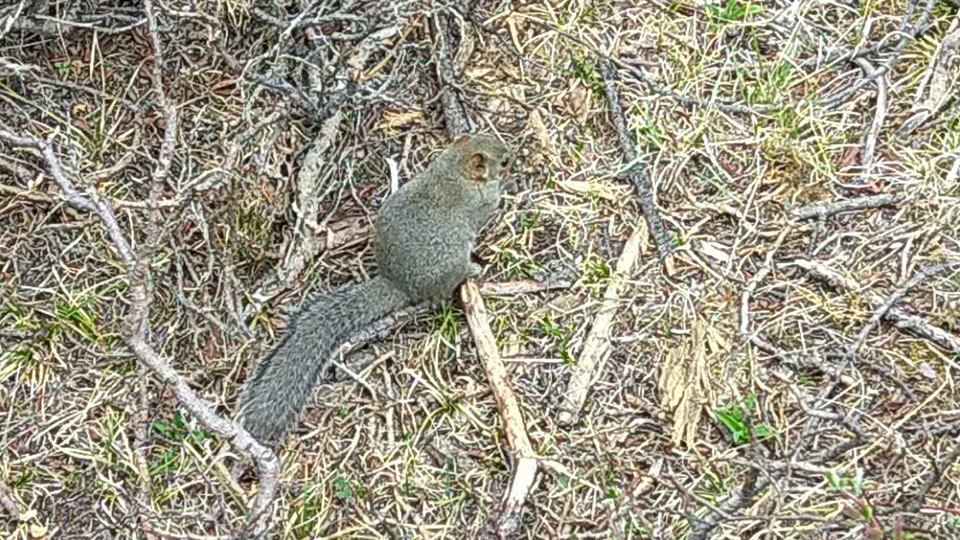 T15RJ2Vas2SCIgcixtOSZwR-R7hX0a3I3PN0juLNQHtKrsmGS1eTVrbofzn_vVef