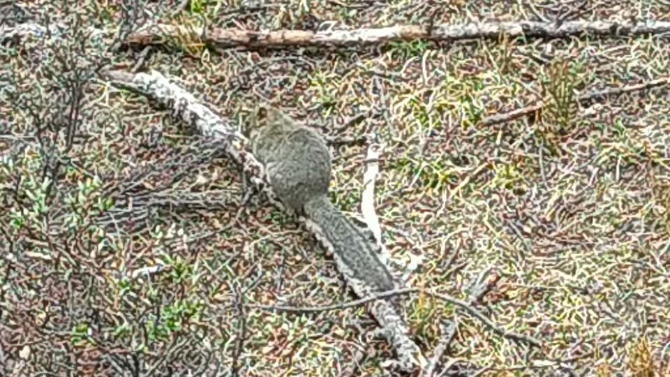 qcAUC-H-3jJsIowKtExHm-U9WCiiSbZYTakUey0jXWKhfDifoh7IsdV1DUuAqWiA