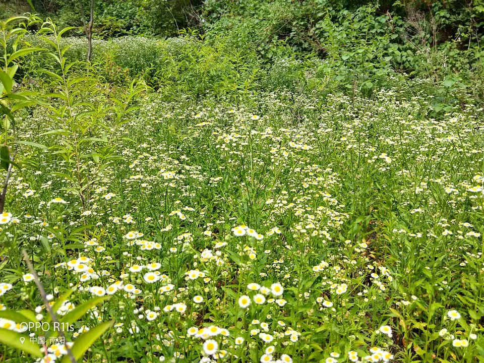 cptV_2my1VpILg4aW0HvRDM8QLCxQ-rSsDj4B_HCqikpBEkEn58Gum43NWZENJyp