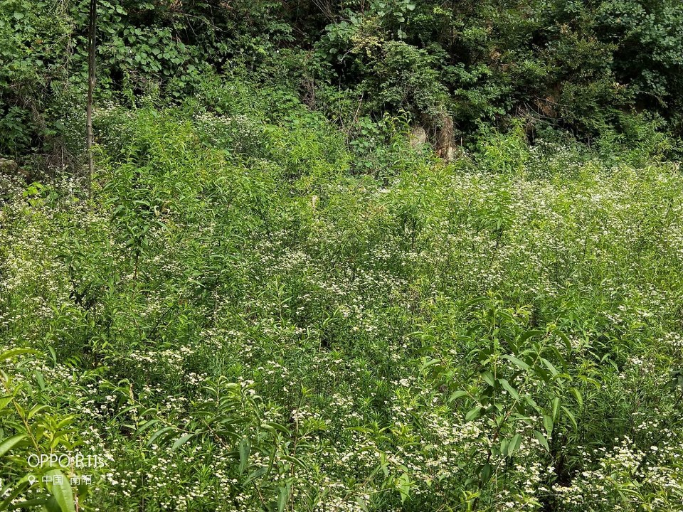 81iKKMXD0HmN3qW8NzPFTX3W8Tb16SKpink4dJovMD4MLlMLiZ-c8agw_lYJeSti