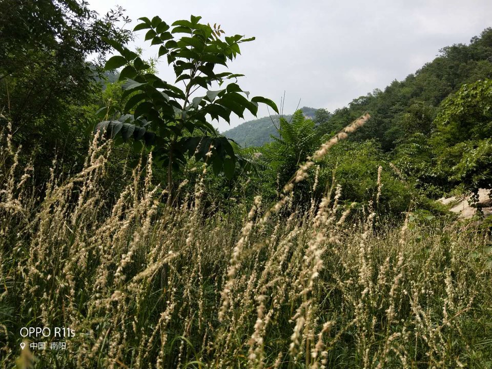 0mISxczGI8oEaZSaZpUIimlr_CRomz7WMl2XxjNRDTvcriqlSv4km6noF4Uf5pZB