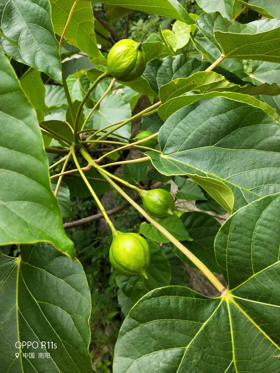 pKnlh-71z0SjnMAgNaYH-rV5NM8Hc709ESa2ojvB9nAqP9fGNqmXimUvT3Nbh80p